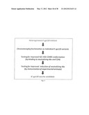 HIV CD4 BINDING SITE BASED COVALENT IMMUNOGEN COMPOSITIONS diagram and image