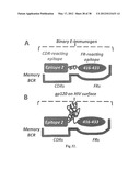 HIV CD4 BINDING SITE BASED COVALENT IMMUNOGEN COMPOSITIONS diagram and image