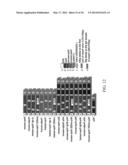 SOLUBLE PD-1 VARIANTS, FUSION CONSTRUCTS, AND USES THEREOF diagram and image