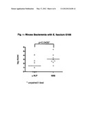 Polypeptide Derived From Enterococcus And Its Use For Vaccination diagram and image