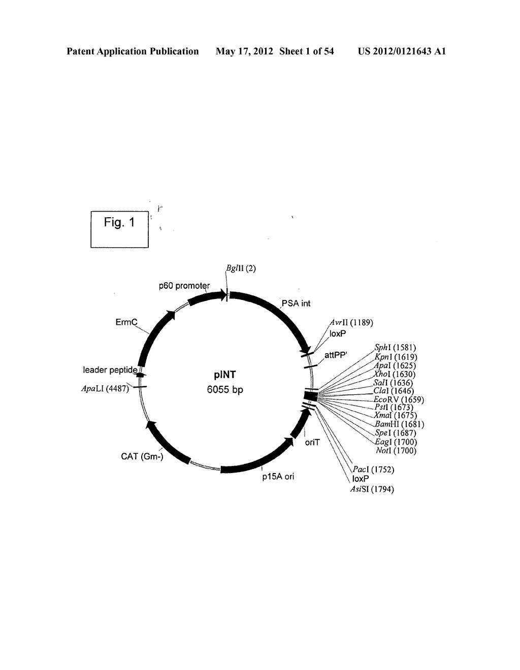 Engineered listeria and methods of use thereof - diagram, schematic, and image 02