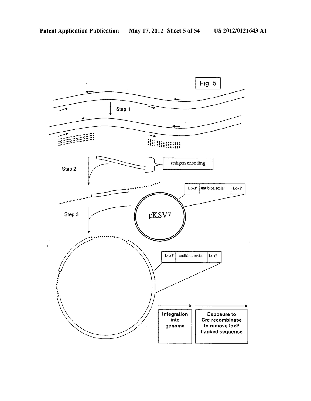 Engineered listeria and methods of use thereof - diagram, schematic, and image 06