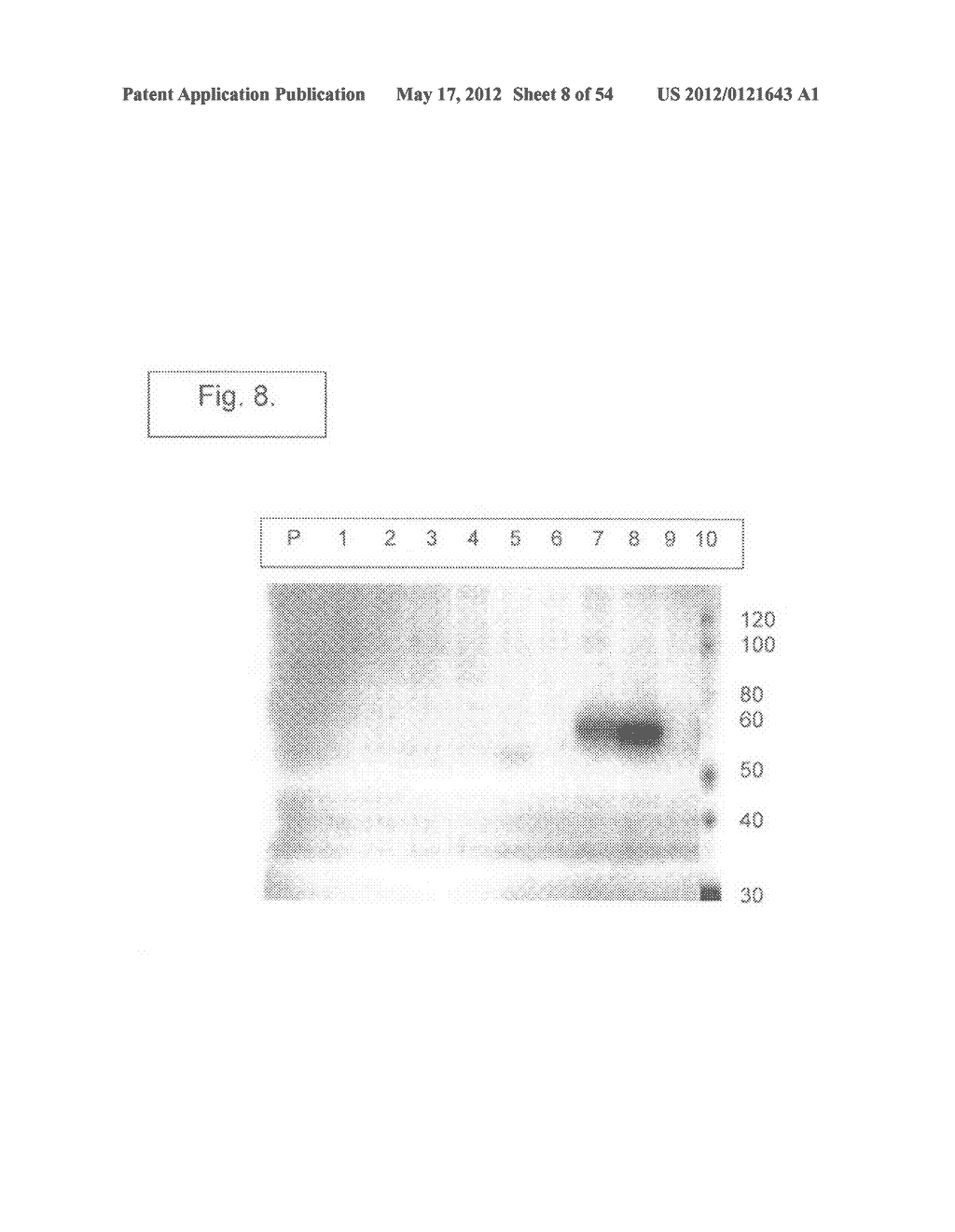 Engineered listeria and methods of use thereof - diagram, schematic, and image 09