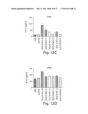 RNA SEQUENCE MOTIFS IN THE CONTEXT OF DEFINED INTERNUCLEOTIDE LINKAGES     INDUCING SPECIFIC IMMUNE MODULATORY PROFILES diagram and image