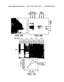 Chimeric Virus Vaccines diagram and image