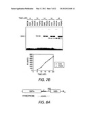 Chimeric Virus Vaccines diagram and image