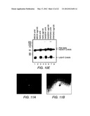 Chimeric Virus Vaccines diagram and image