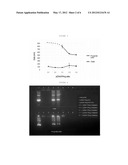 POLYARGININE NANOCAPSULES diagram and image