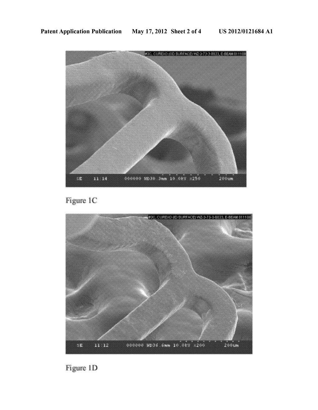  Coating Comprising A Poly(Ethylene     Glycol)-Poly(Lactide-Glycolide-Caprolactone) Interpenetrating Network - diagram, schematic, and image 03