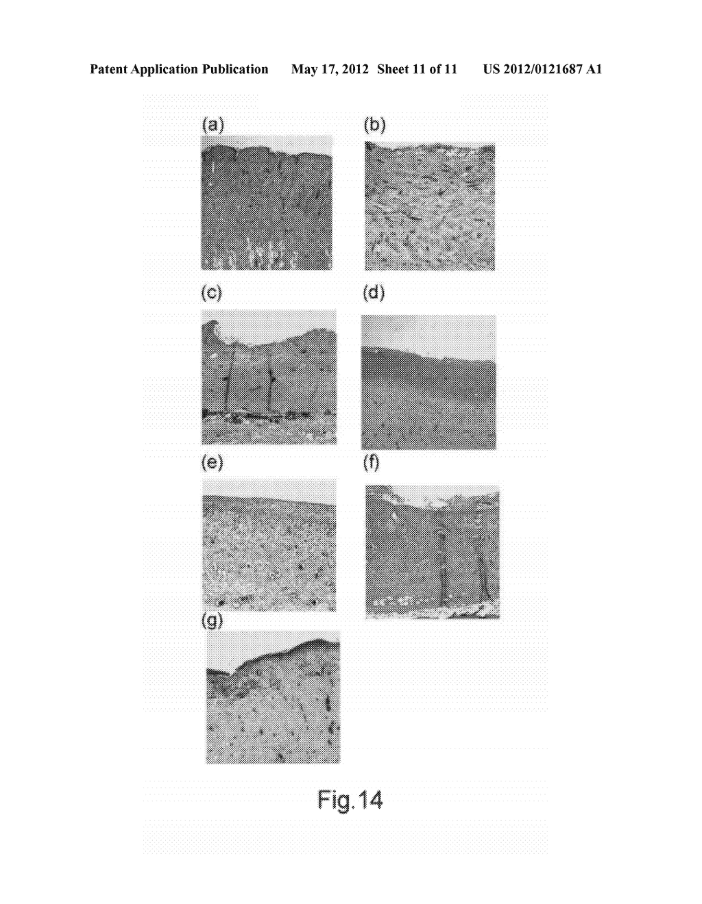Wound healing material and method for fabricating the same - diagram, schematic, and image 12