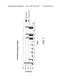 METHOD TO ENHANCE AN IMMUNE RESPONSE OF NUCLEIC ACID VACCINATION diagram and image