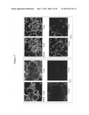 PHARMACEUTICAL COMPOSITION OF PEPTIDE DRUG AND ENZYME-INHIBITION COMPOUNDS diagram and image