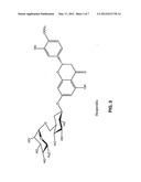 PHARMACEUTICAL AND NUTRACEUTICAL COMPOSITIONS FOR TREATING RESPIRATORY     DISEASE AND ASSOCIATED PHLEGM diagram and image