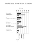 PHARMACEUTICAL COMPOSITION FOR INHIBITING INFECTION AND REPLICATION OF     INFLUENZA A AND B VIRUS, AND THE MANUFACTURE THEREOF diagram and image