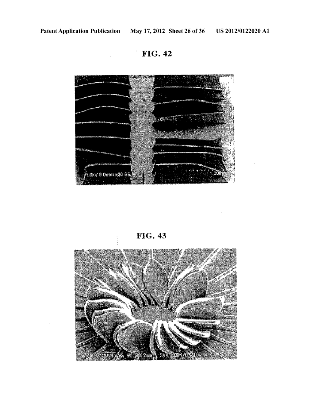 SINGLE-WALLED CARBON NANOTUBE AND ALIGNED SINGLE-WALLED CARBON NANOTUBE     BULK STRUCTURE, AND THEIR PRODUCTION PROCESS, PRODUCTION APPARATUS AND     APPLICATION USE - diagram, schematic, and image 27