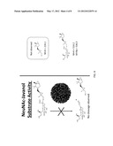 INFECTION DETECTION METHODS AND SYSTEMS AND RELATED COMPOUNDS AND     COMPOSITIONS diagram and image