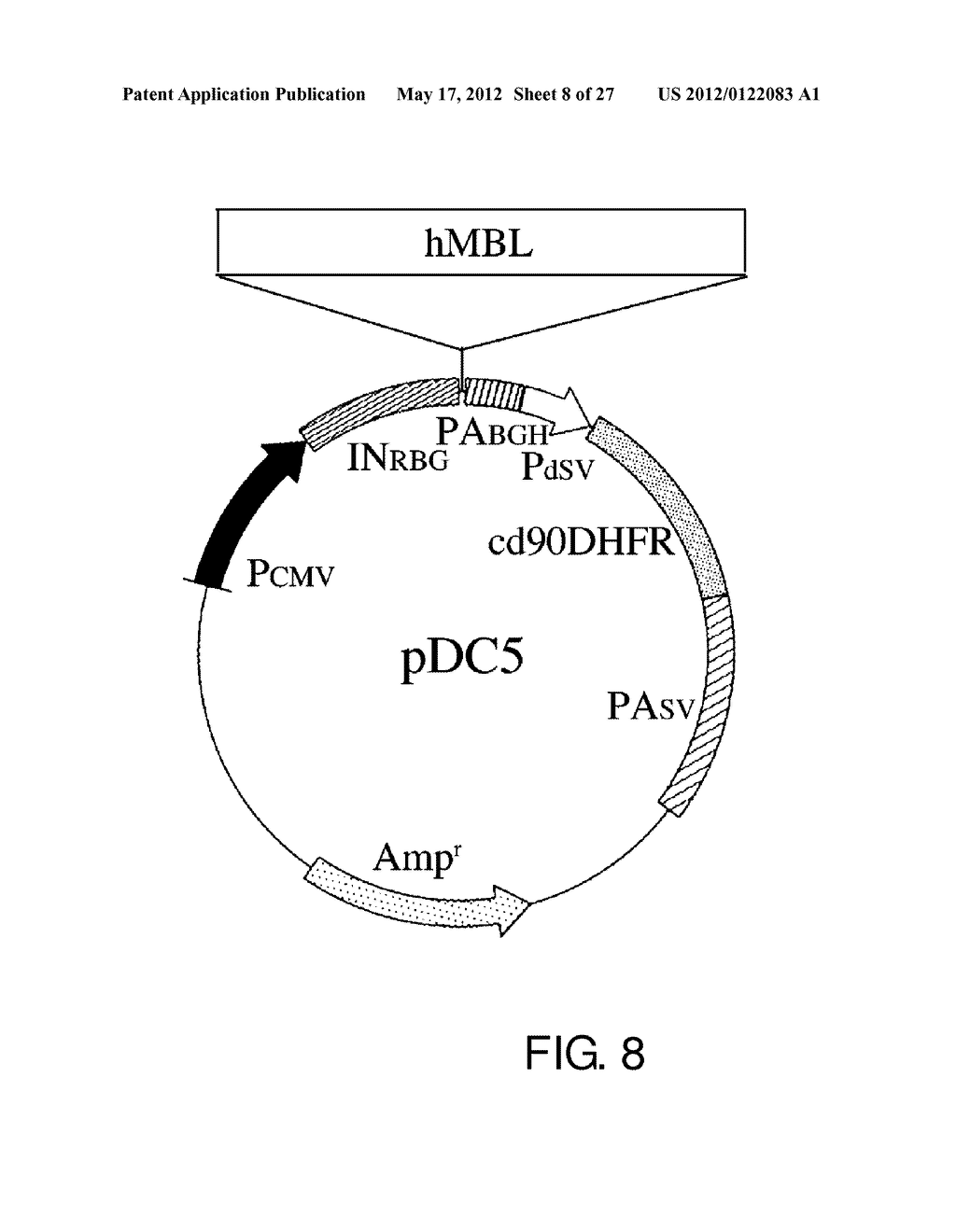 EXPRESSION VECTOR FOR PRODUCING PROTEIN DERIVED FROM FOREIGN GENE IN LARGE     QUANTITY USING ANIMAL CELLS, AND USE THEREOF - diagram, schematic, and image 09