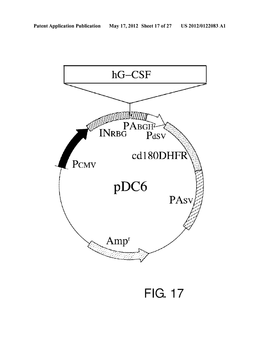 EXPRESSION VECTOR FOR PRODUCING PROTEIN DERIVED FROM FOREIGN GENE IN LARGE     QUANTITY USING ANIMAL CELLS, AND USE THEREOF - diagram, schematic, and image 18