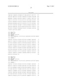 EXPRESSION VECTOR FOR PRODUCING PROTEIN DERIVED FROM FOREIGN GENE IN LARGE     QUANTITY USING ANIMAL CELLS, AND USE THEREOF diagram and image