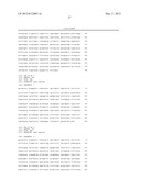 EXPRESSION VECTOR FOR PRODUCING PROTEIN DERIVED FROM FOREIGN GENE IN LARGE     QUANTITY USING ANIMAL CELLS, AND USE THEREOF diagram and image