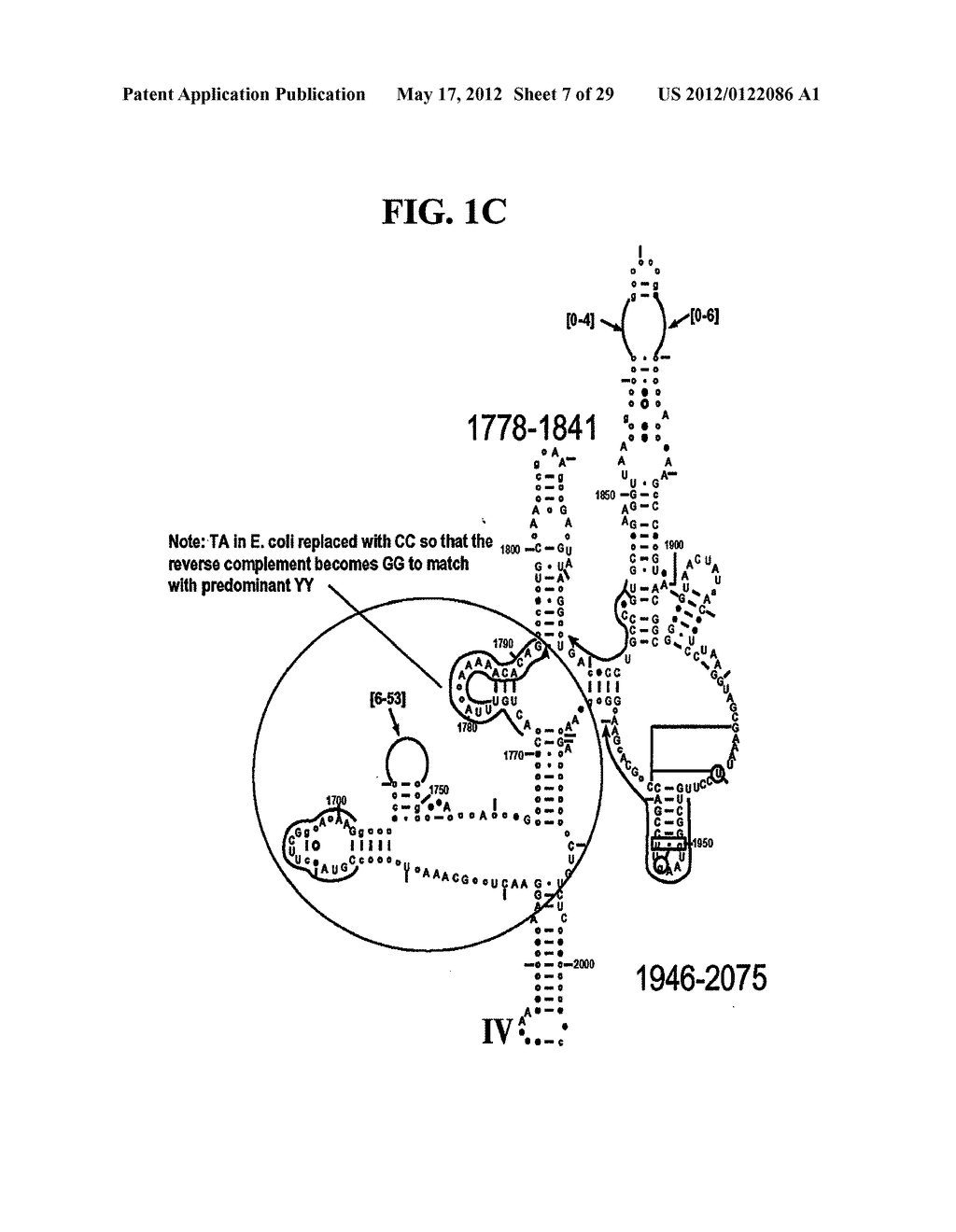 METHOD FOR RAPID DETECTION AND IDENTIFICATION OF BIOAGENTS IN     EPIDEMIOLOGICAL AND FORENSIC INVESTIGATIONS - diagram, schematic, and image 08