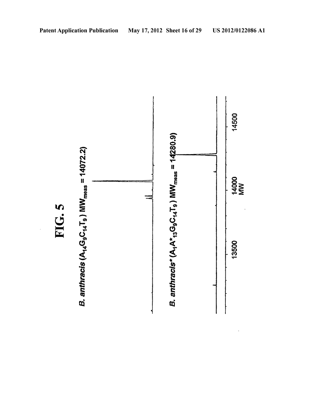 METHOD FOR RAPID DETECTION AND IDENTIFICATION OF BIOAGENTS IN     EPIDEMIOLOGICAL AND FORENSIC INVESTIGATIONS - diagram, schematic, and image 17