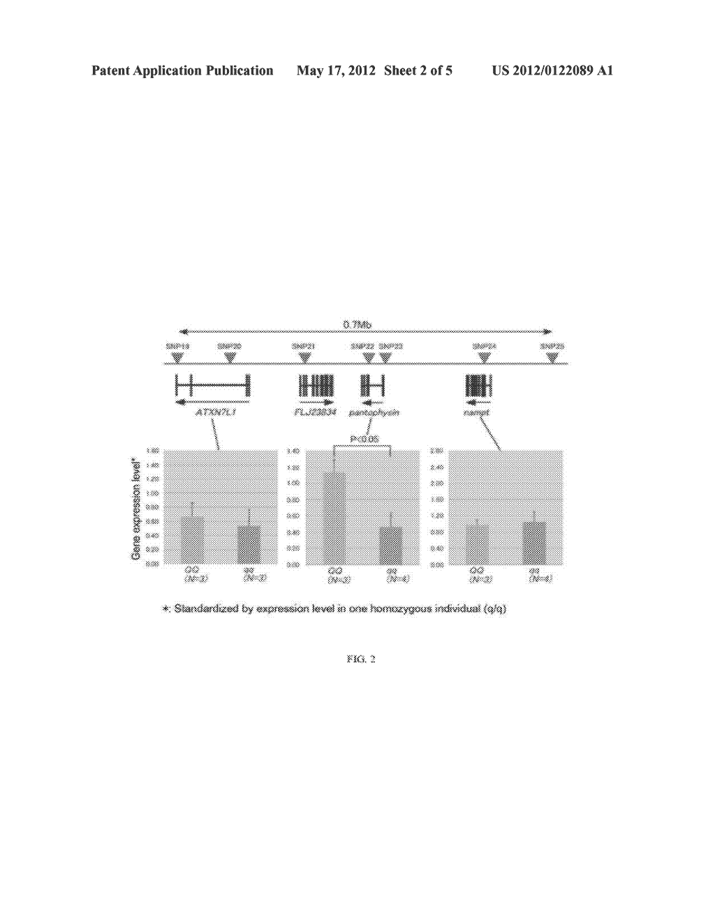 Gene Marker For Evaluating Genetic Potential For Marbling In Bovine     Individual And Method For Evaluating Genetic Potential For Marbling Using     The Same - diagram, schematic, and image 03