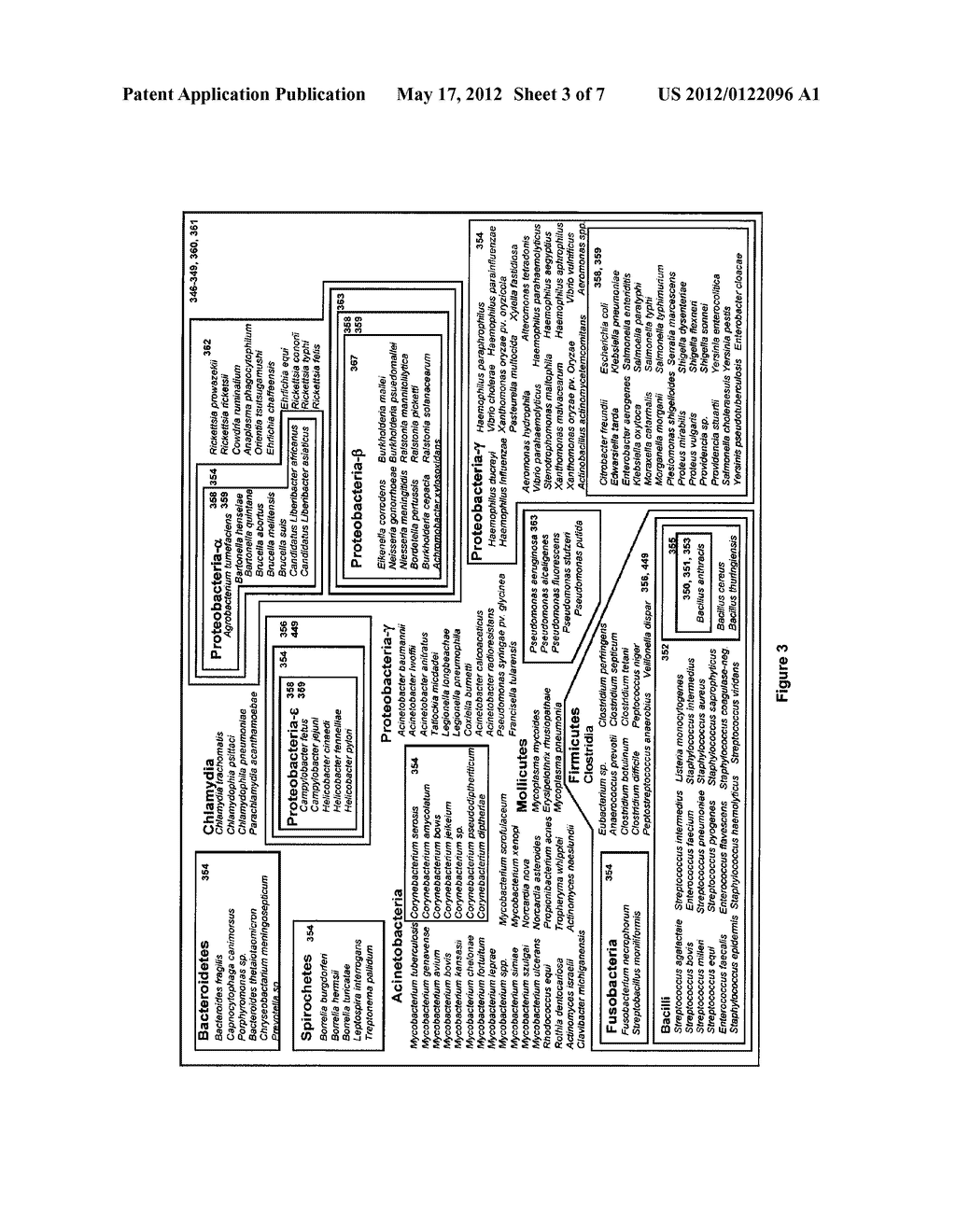 COMPOSITIONS FOR USE IN IDENTIFICATION OF BACTERIA - diagram, schematic, and image 04