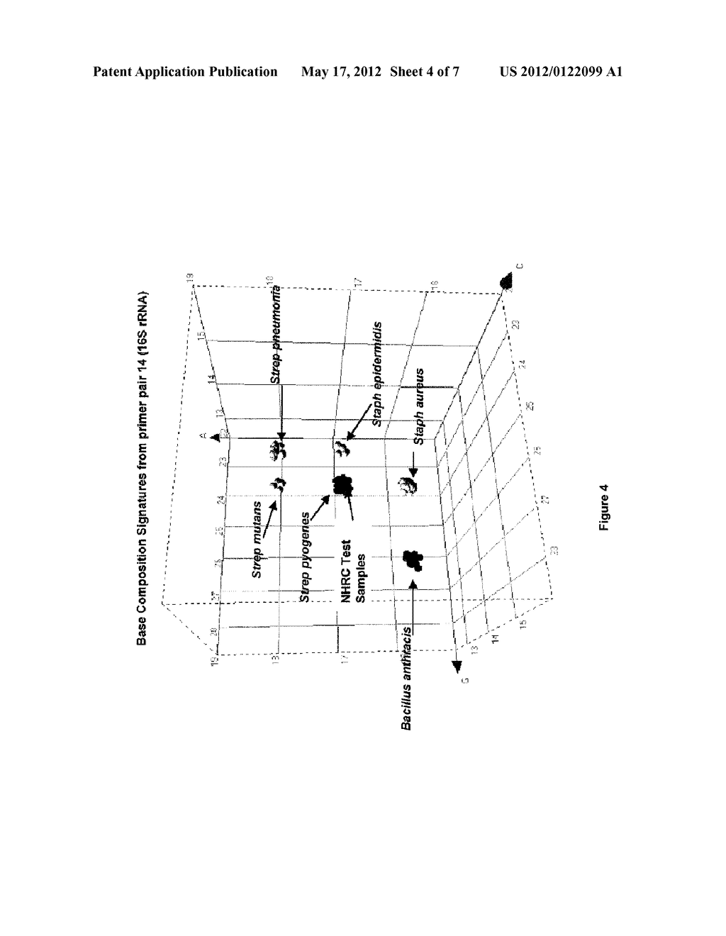 COMPOSITIONS FOR USE IN IDENTIFICATION OF BACTERIA - diagram, schematic, and image 05