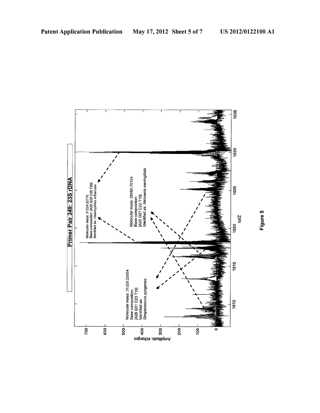 COMPOSITIONS FOR USE IN IDENTIFICATION OF BACTERIA - diagram, schematic, and image 06