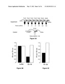 RNA SEQUENCE-SPECIFIC MEDIATORS OF RNA INTERFERENCE diagram and image