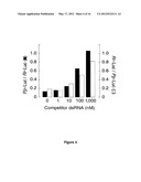 RNA SEQUENCE-SPECIFIC MEDIATORS OF RNA INTERFERENCE diagram and image