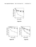 RNA SEQUENCE-SPECIFIC MEDIATORS OF RNA INTERFERENCE diagram and image