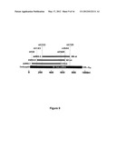 RNA SEQUENCE-SPECIFIC MEDIATORS OF RNA INTERFERENCE diagram and image