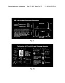 DETECTION OF ANTHRAX PATHOGENICITY FACTORS diagram and image