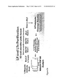 DETECTION OF ANTHRAX PATHOGENICITY FACTORS diagram and image