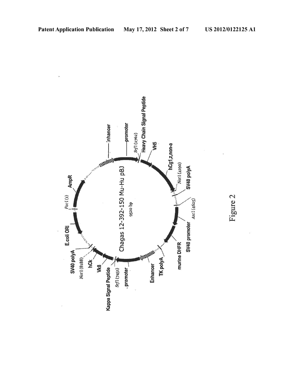 ANTI-T. CRUZI ANTIBODIES AND METHODS OF USE - diagram, schematic, and image 03