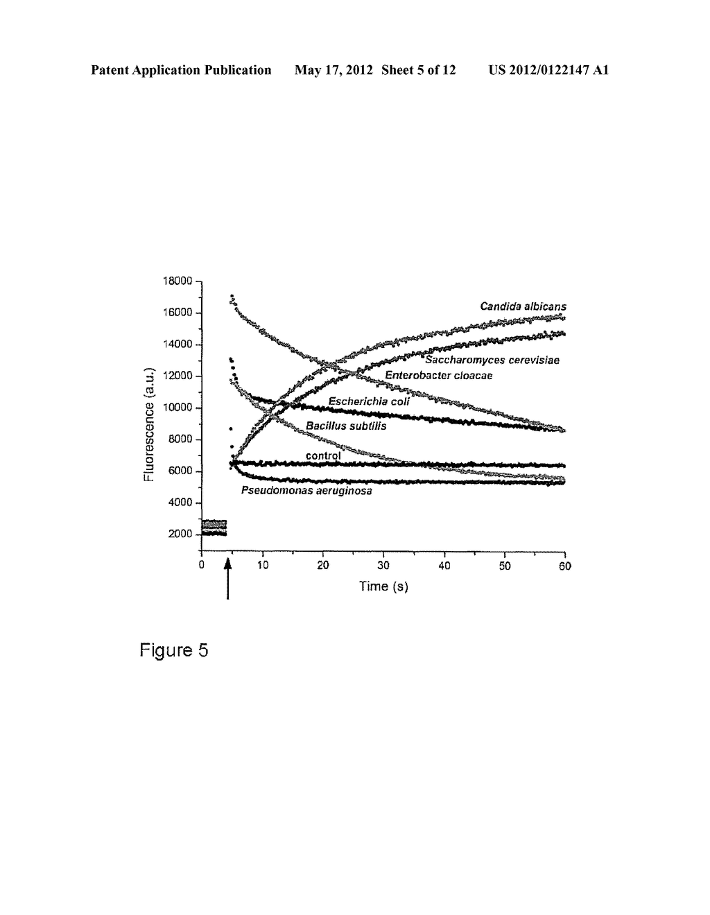 REAL-TIME METHOD FOR THE DETECTION OF VIABLE MICRO-ORGANISMS - diagram, schematic, and image 06