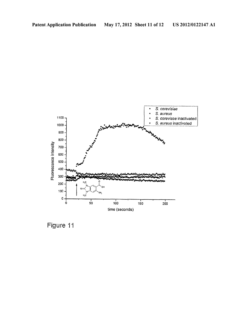 REAL-TIME METHOD FOR THE DETECTION OF VIABLE MICRO-ORGANISMS - diagram, schematic, and image 12