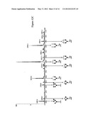 IMMORTALIZED AVIAN CELL LINES AND USE THEREOF diagram and image