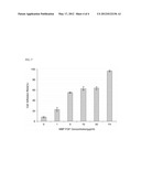 RECOMBINANT PROTEIN OF FIBROBLAST GROWTH FACTOR HAVING ADHESIVE ACTIVITY     FOR STEM CELLS AND METHOD FOR CULTURING STEM CELLS USING THE SAME diagram and image