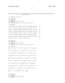 RECOMBINANT PROTEIN OF FIBROBLAST GROWTH FACTOR HAVING ADHESIVE ACTIVITY     FOR STEM CELLS AND METHOD FOR CULTURING STEM CELLS USING THE SAME diagram and image