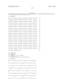 RECOMBINANT PROTEIN OF FIBROBLAST GROWTH FACTOR HAVING ADHESIVE ACTIVITY     FOR STEM CELLS AND METHOD FOR CULTURING STEM CELLS USING THE SAME diagram and image