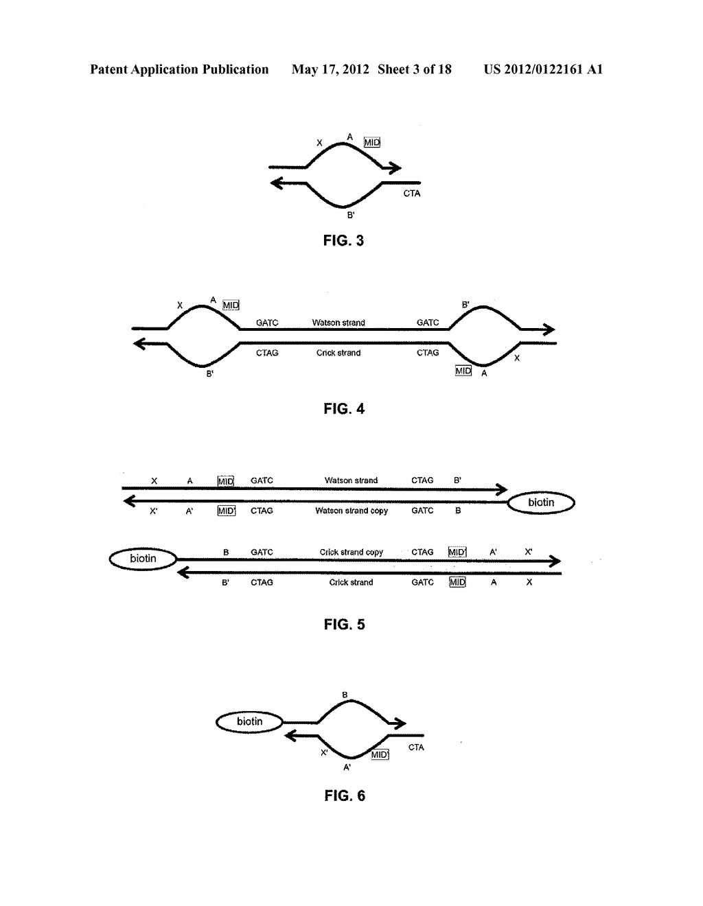 Sorting Asymmetrically Tagged Nucleic Acids by Selective Primer Extension - diagram, schematic, and image 04