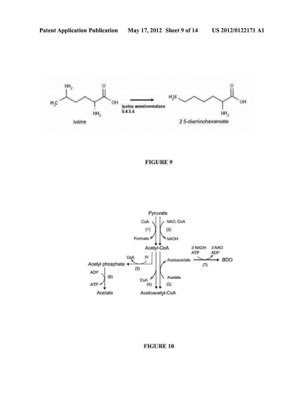COMPOSITIONS AND METHODS FOR THE BIOSYNTHESIS OF 1,4-BUTANEDIOL AND ITS     PRECURSORS - diagram, schematic, and image 10