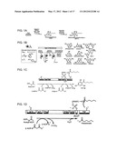 INCORPORATION OF TYPE III POLYKETIDE SYNTHASES INTO MULTIDOMAIN PROTEINS     OF THE TYPE I AND III POLYKETIDE SYNTHASE AND FATTY ACID SYNTHASE     FAMILIES diagram and image