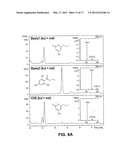 INCORPORATION OF TYPE III POLYKETIDE SYNTHASES INTO MULTIDOMAIN PROTEINS     OF THE TYPE I AND III POLYKETIDE SYNTHASE AND FATTY ACID SYNTHASE     FAMILIES diagram and image