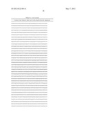 INCORPORATION OF TYPE III POLYKETIDE SYNTHASES INTO MULTIDOMAIN PROTEINS     OF THE TYPE I AND III POLYKETIDE SYNTHASE AND FATTY ACID SYNTHASE     FAMILIES diagram and image