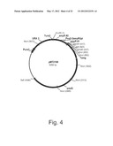 Methods For Producing Secreted Polypeptides diagram and image