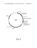 Methods For Producing Secreted Polypeptides diagram and image